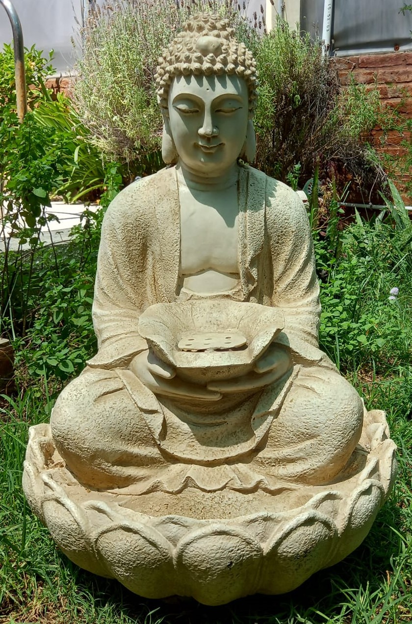 Buda2